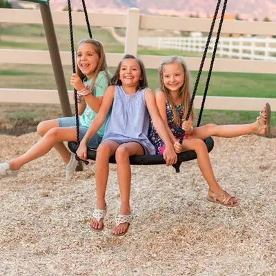 Lifetime Big Stuff ® Two-Slide Swing Set