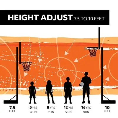 Lifetime Crank Adjust Bolt Down Basketball Hoop (54-Inch Tempered Glass)