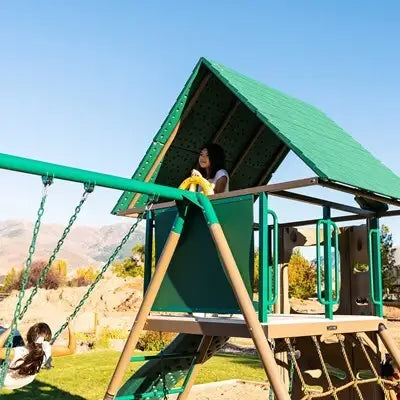 Lifetime Big Stuff Deluxe Swing Set