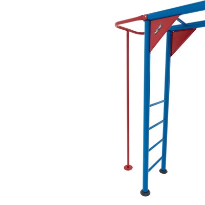 Lifetime Monkey Bar Adventure Swing Set