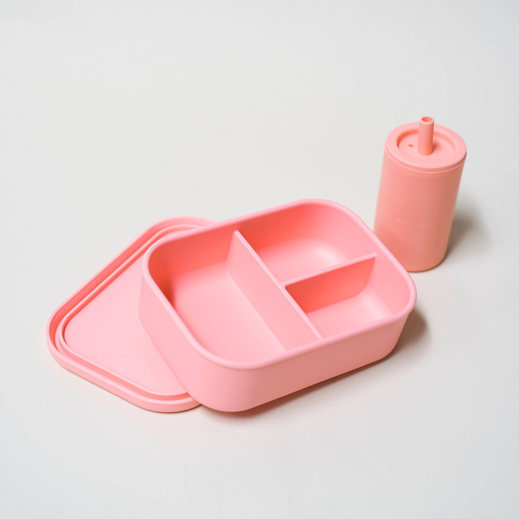 Bento Box