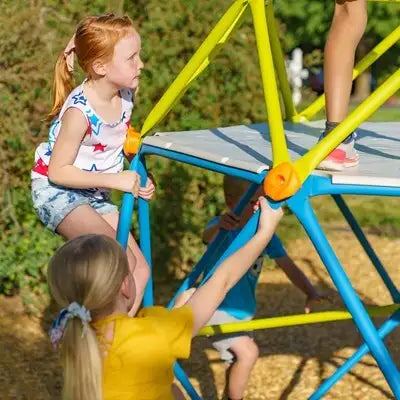 Lifetime Climbing Tower with Slide