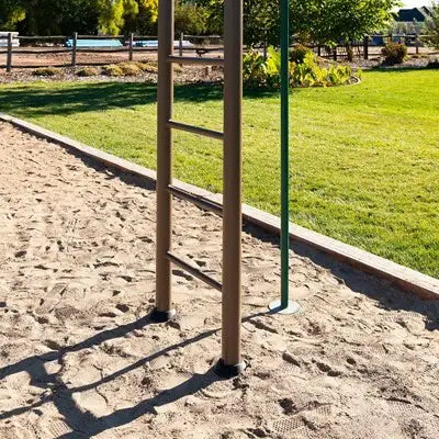 Lifetime Big Stuff Deluxe Swing Set