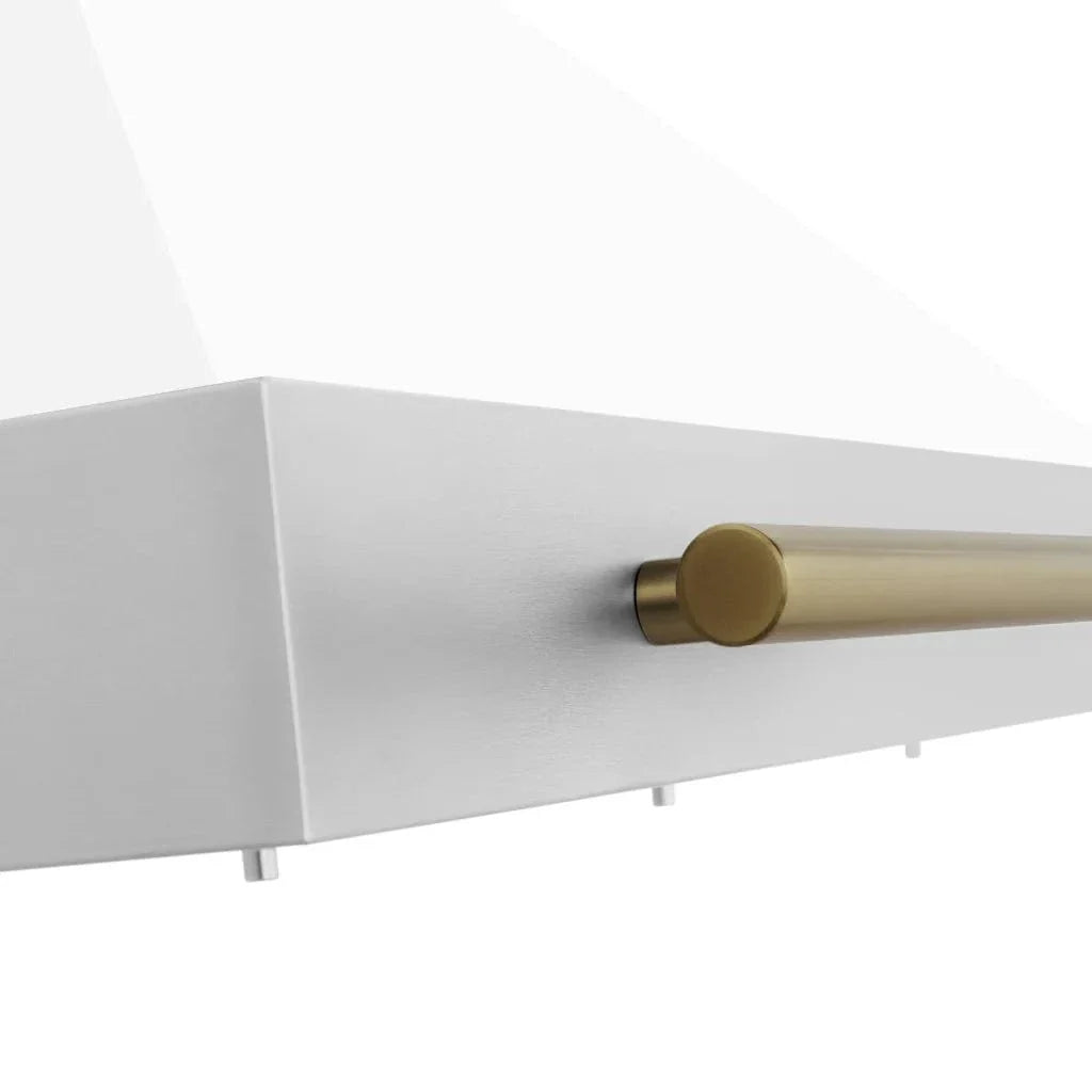 ZLINE 48" Autograph Stainless Wall Range Hood KB4STZ-WM48-G