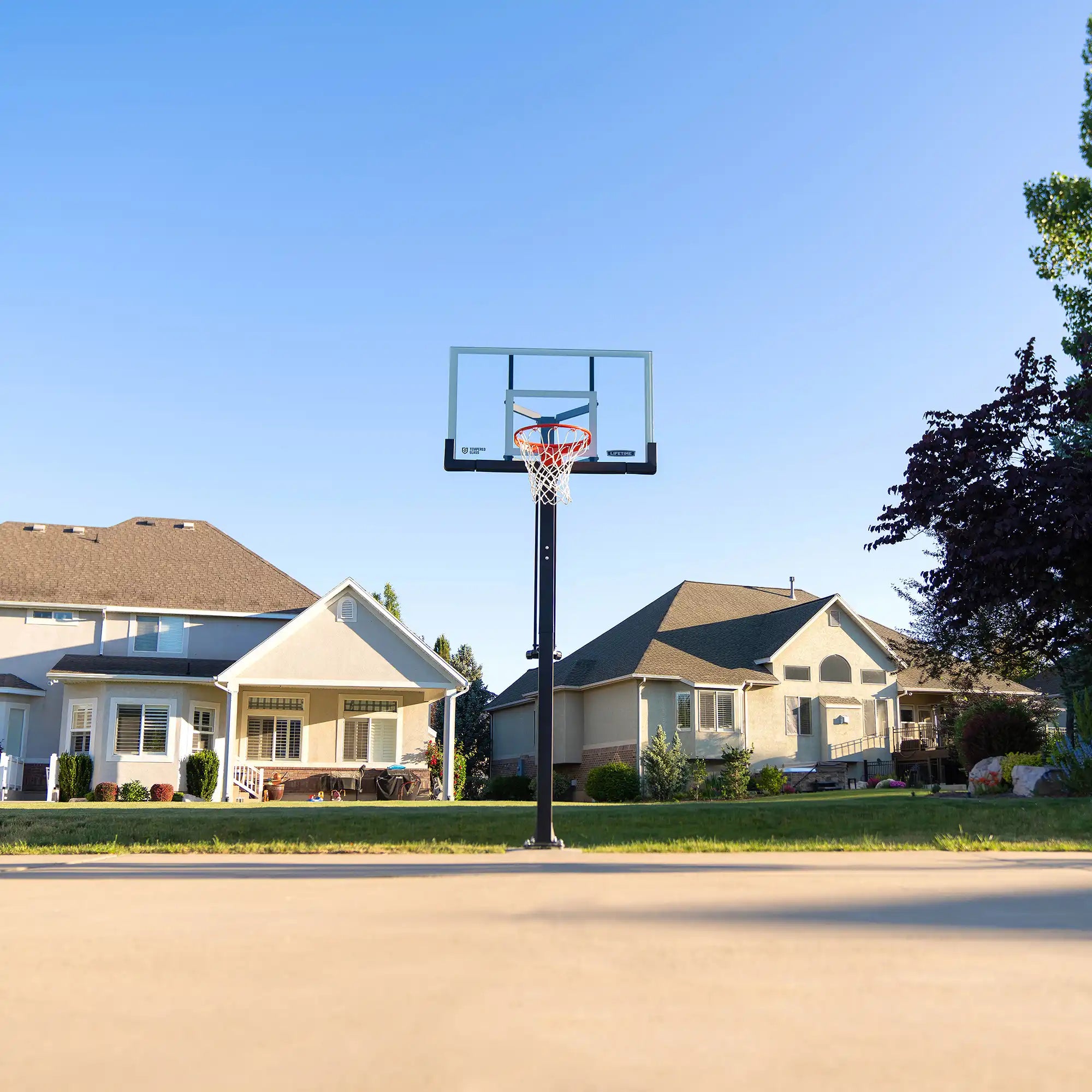 Lifetime Mammoth Lift Bolt Down Basketball Hoop (54-Inch Tempered Glass)