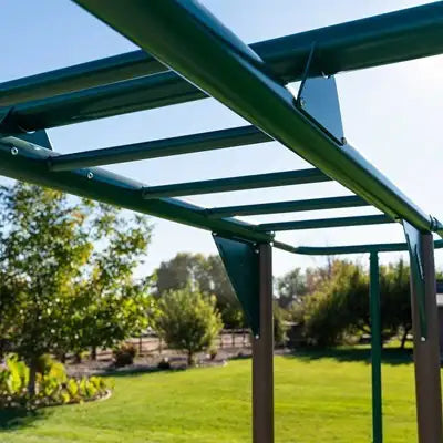 Lifetime Big Stuff Deluxe Swing Set