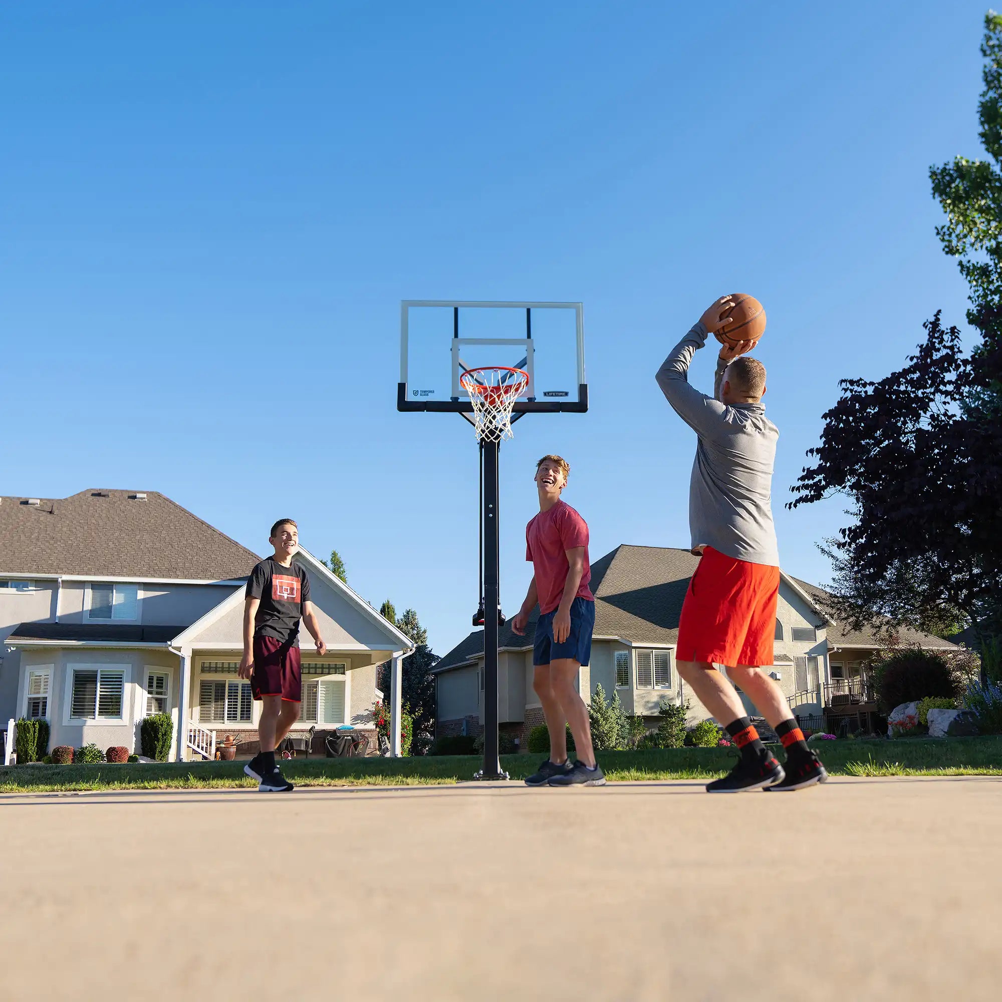 Lifetime Mammoth Lift Bolt Down Basketball Hoop (54-Inch Tempered Glass)