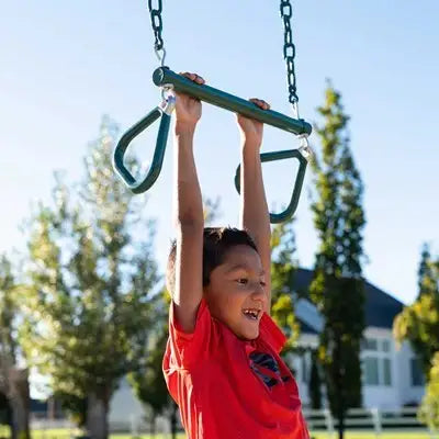 Lifetime Big Stuff Deluxe Swing Set