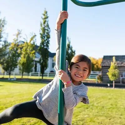 Lifetime Big Stuff Deluxe Swing Set