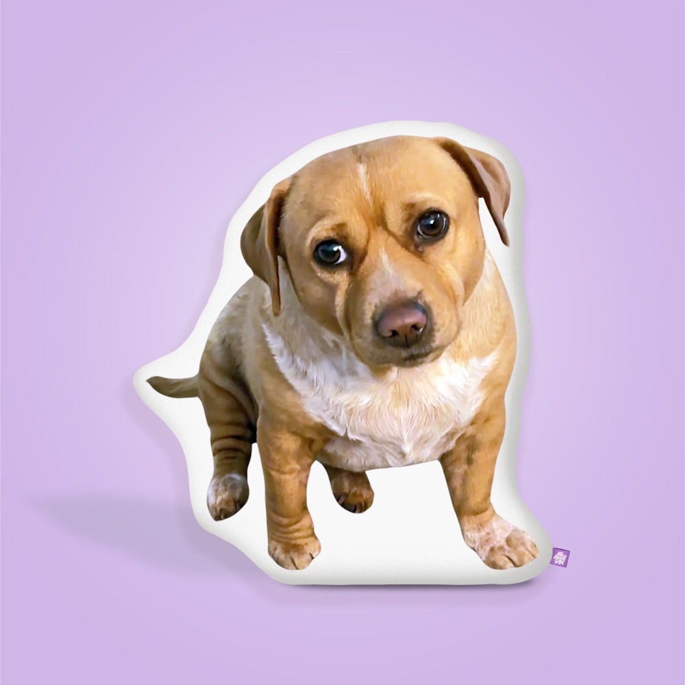 Cashew Pillow