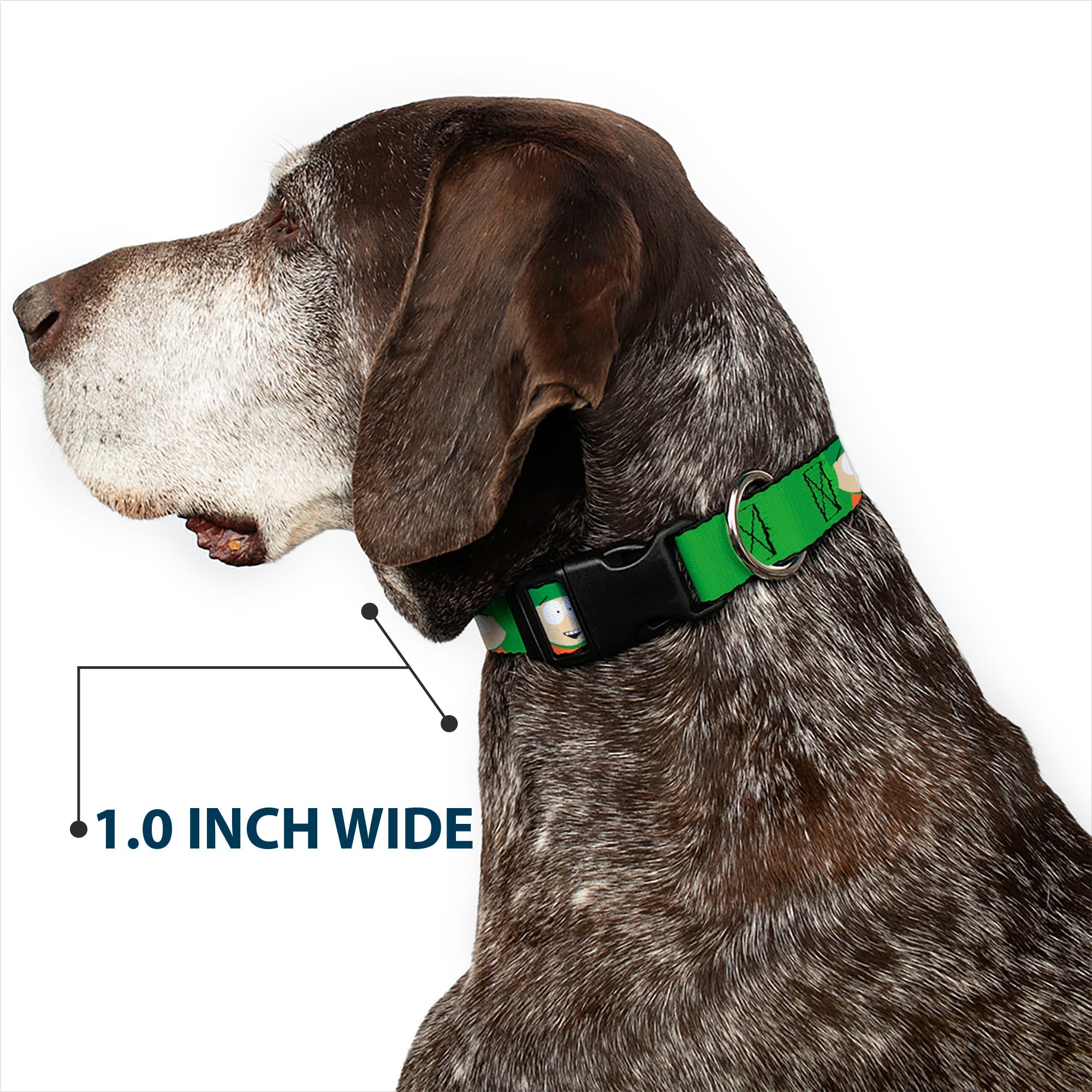 Plastic Clip Collar - South Park Kyle Expressions Greens