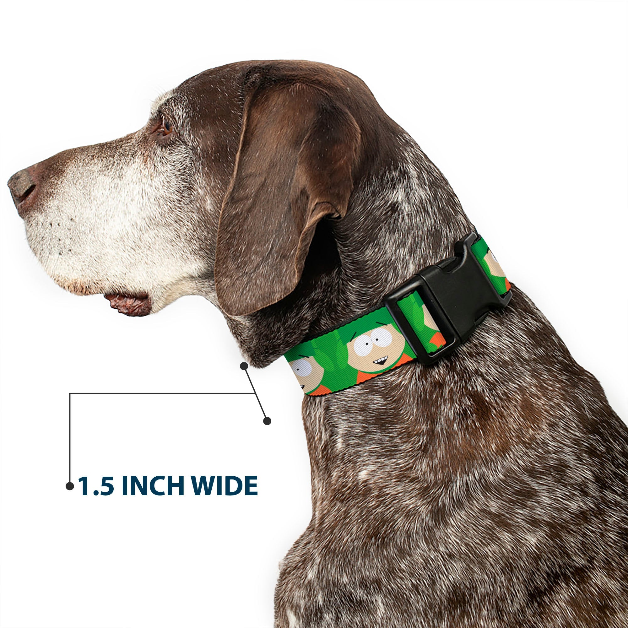 Plastic Clip Collar - South Park Kyle Expressions Greens