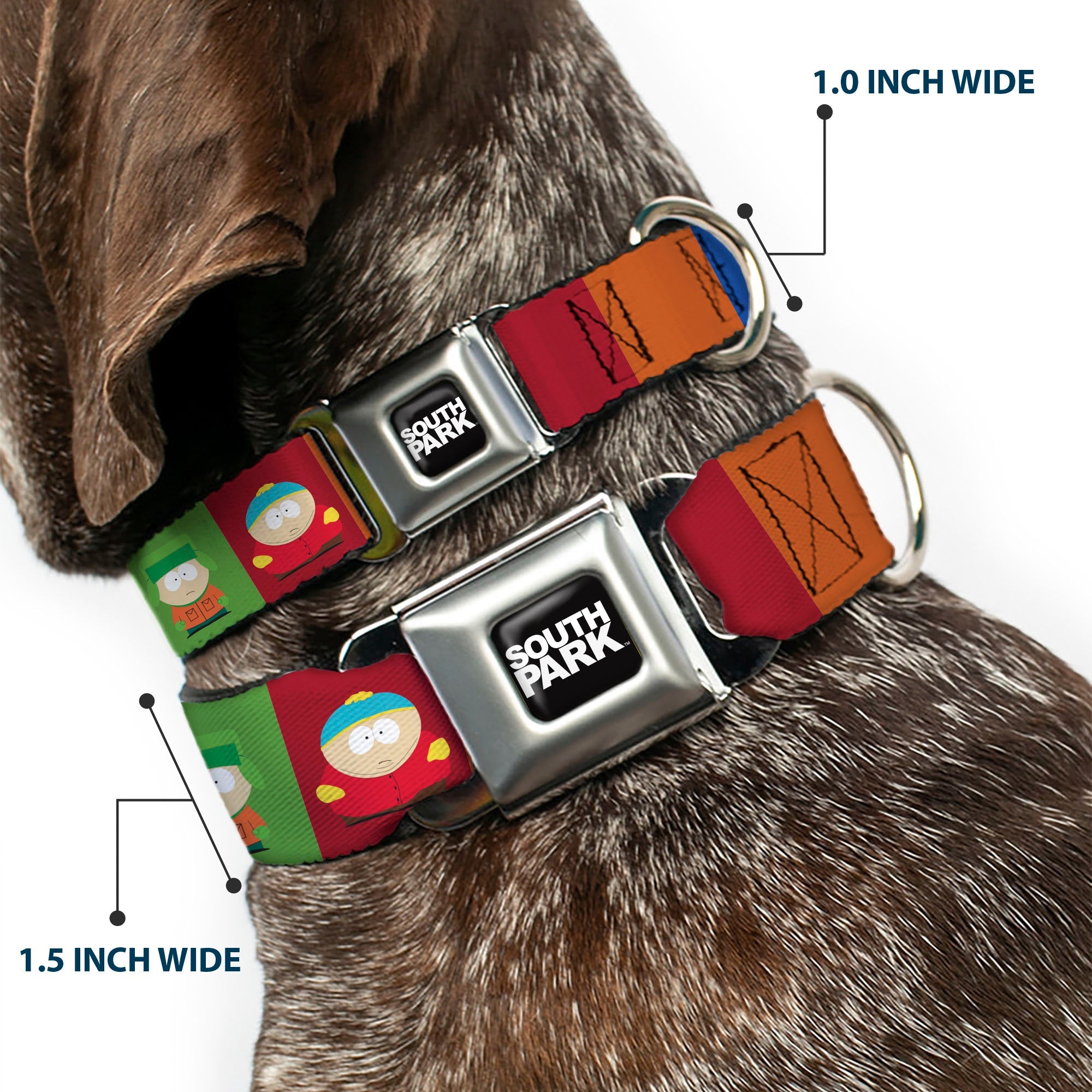 SOUTH PARK Title Logo Full Color Black/White Seatbelt Buckle Collar - South Park Boys Pose Blocks Multi Color
