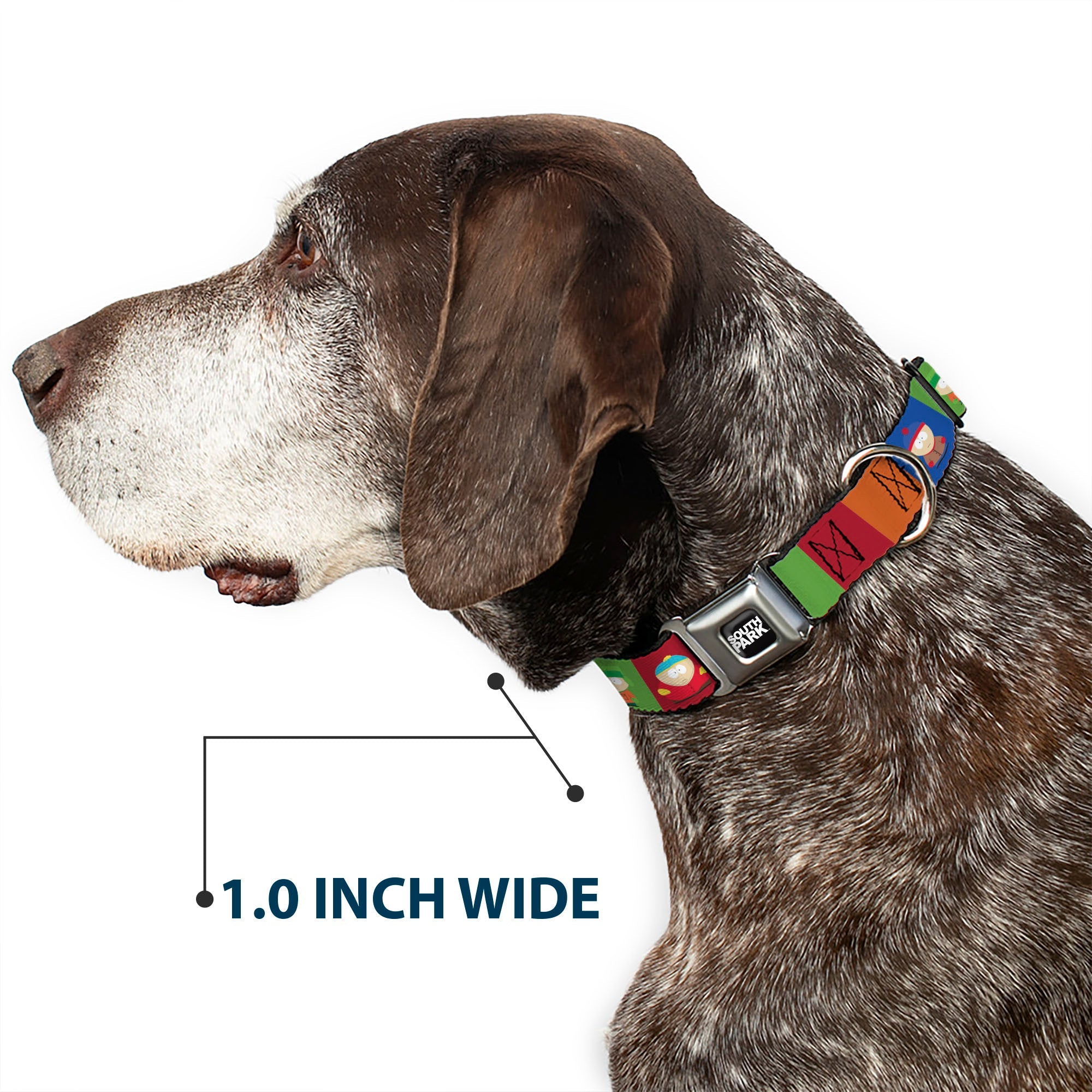 SOUTH PARK Title Logo Full Color Black/White Seatbelt Buckle Collar - South Park Boys Pose Blocks Multi Color