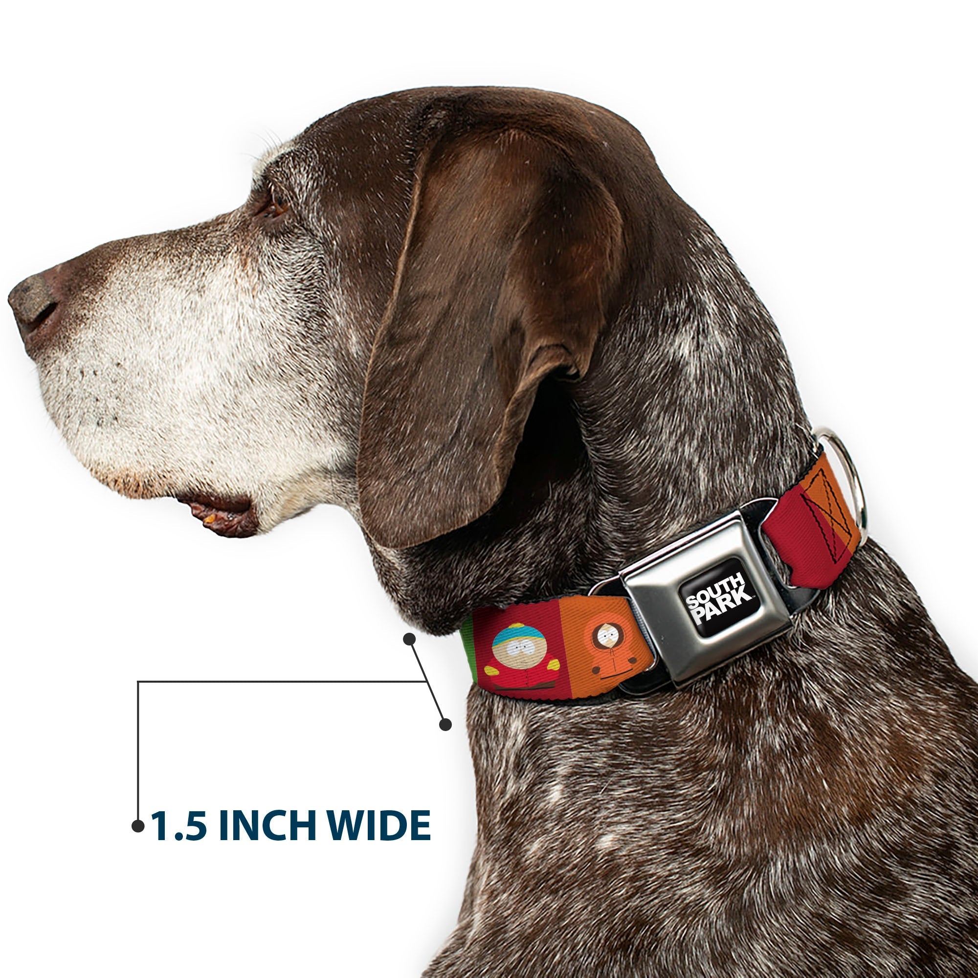 SOUTH PARK Title Logo Full Color Black/White Seatbelt Buckle Collar - South Park Boys Pose Blocks Multi Color