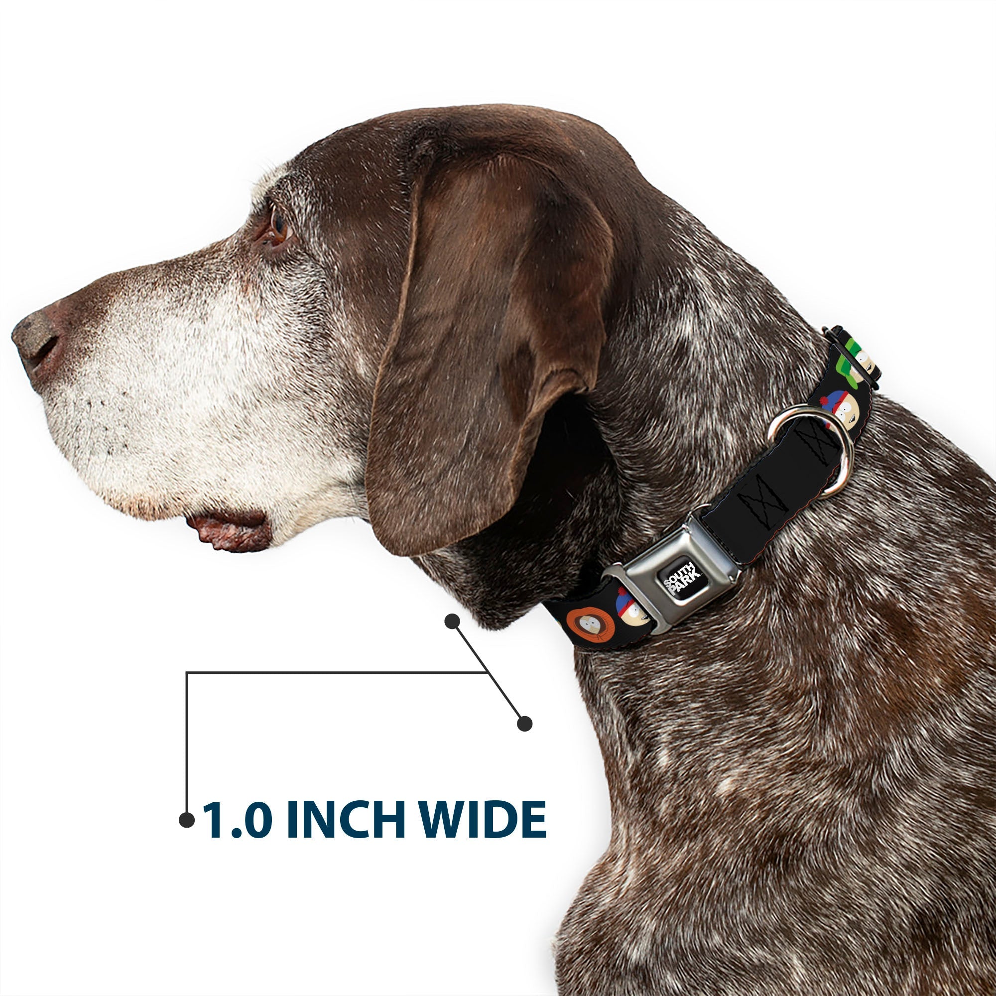 SOUTH PARK Title Logo Full Color Black/White Seatbelt Buckle Collar - South Park Boys Face Repeat Black
