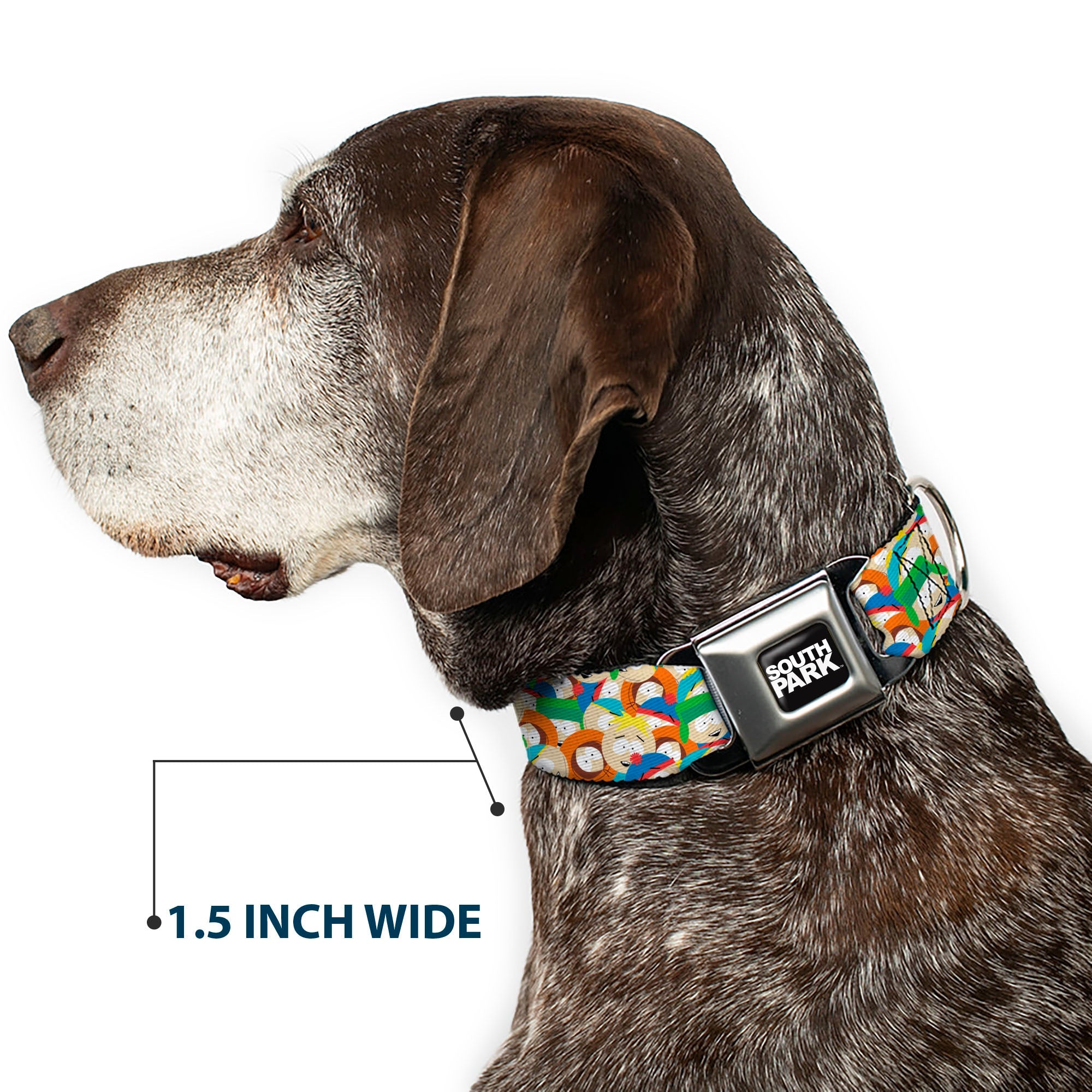 SOUTH PARK Title Logo Full Color Black/White Seatbelt Buckle Collar - South Park Boys Expressions Stacked