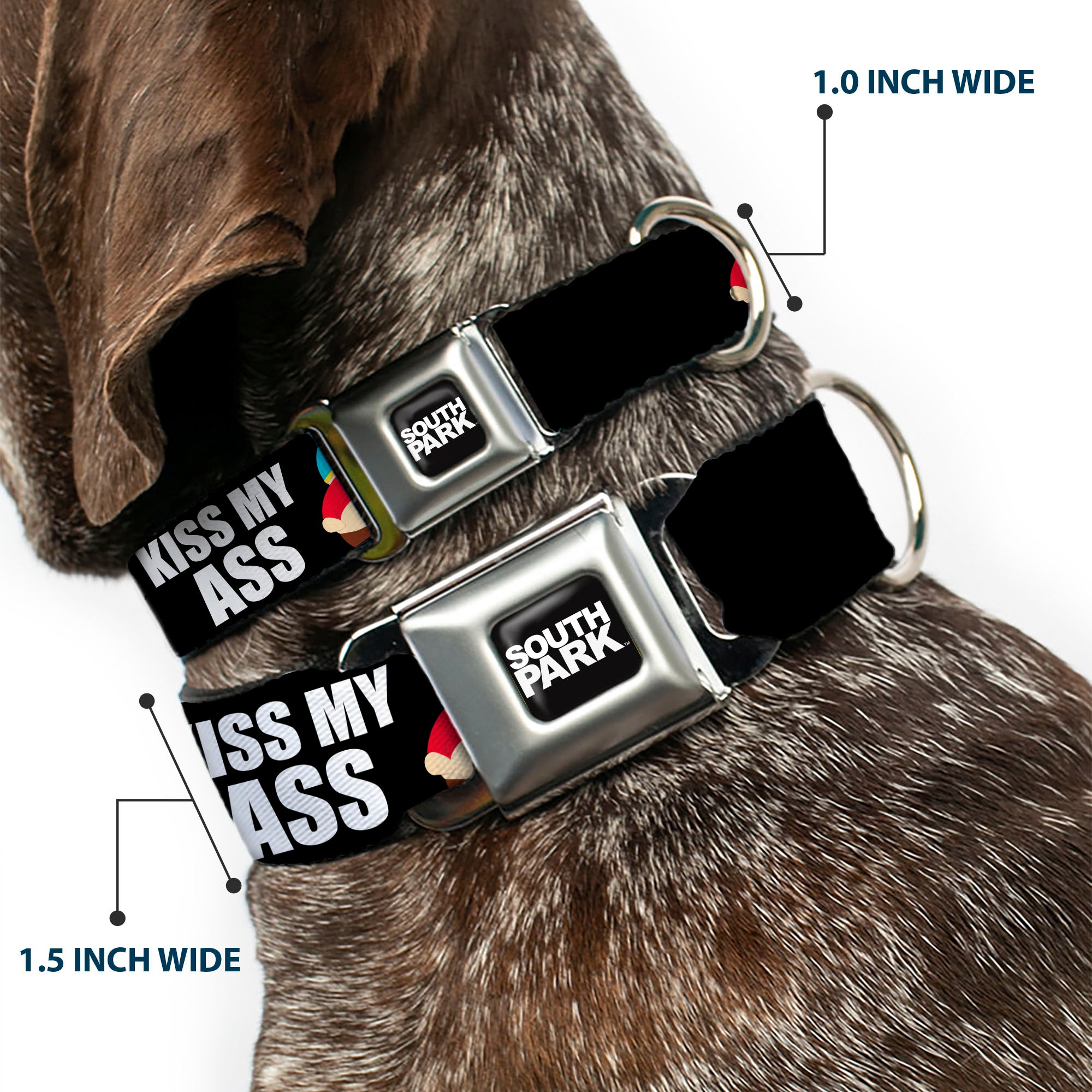 SOUTH PARK Title Logo Full Color Black/White Seatbelt Buckle Collar - South Park Cartman Pants KISS MY ASS Pose Black/White