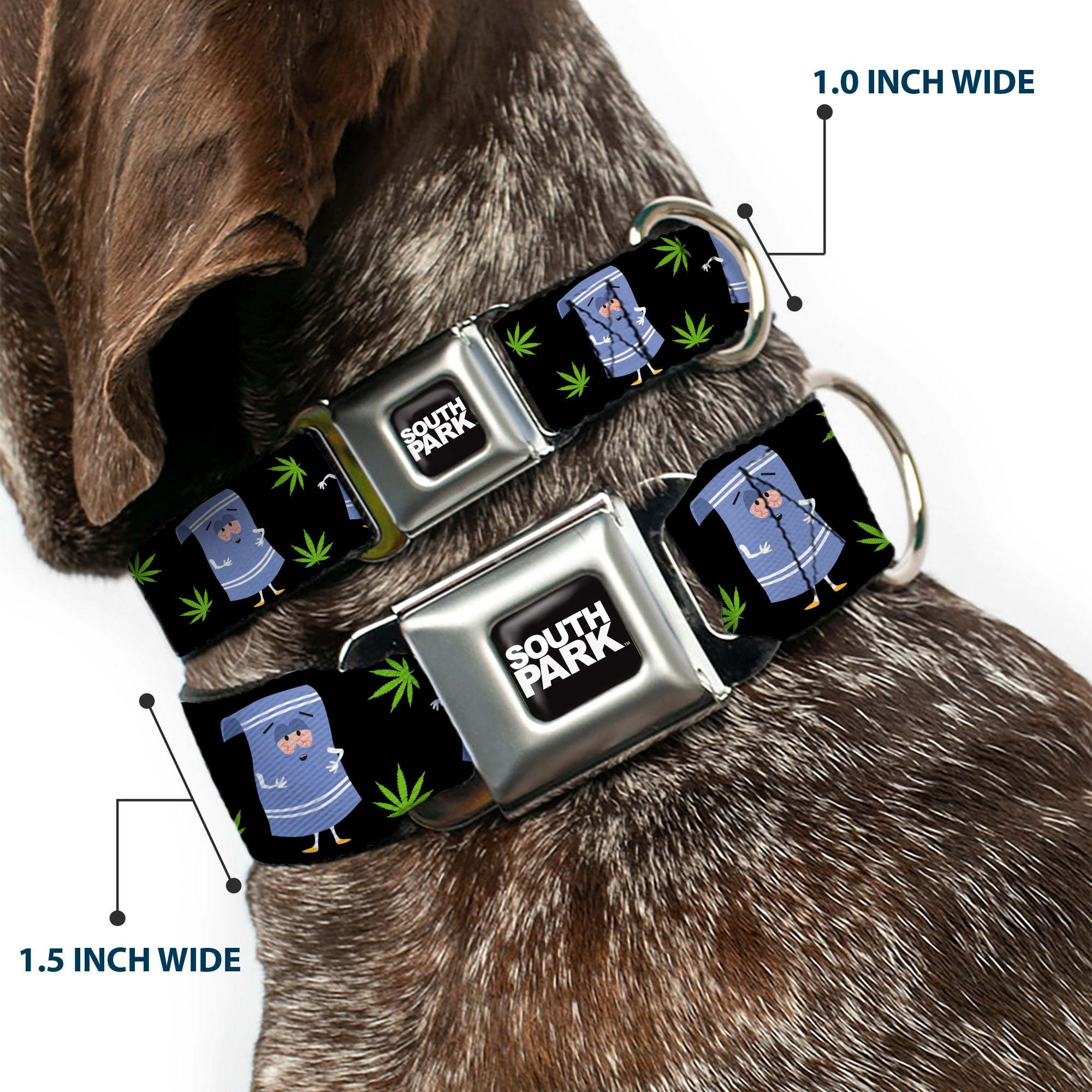 SOUTH PARK Title Logo Full Color Black/White Seatbelt Buckle Collar - South Park Towlie and Scattered Pot Leaves Black