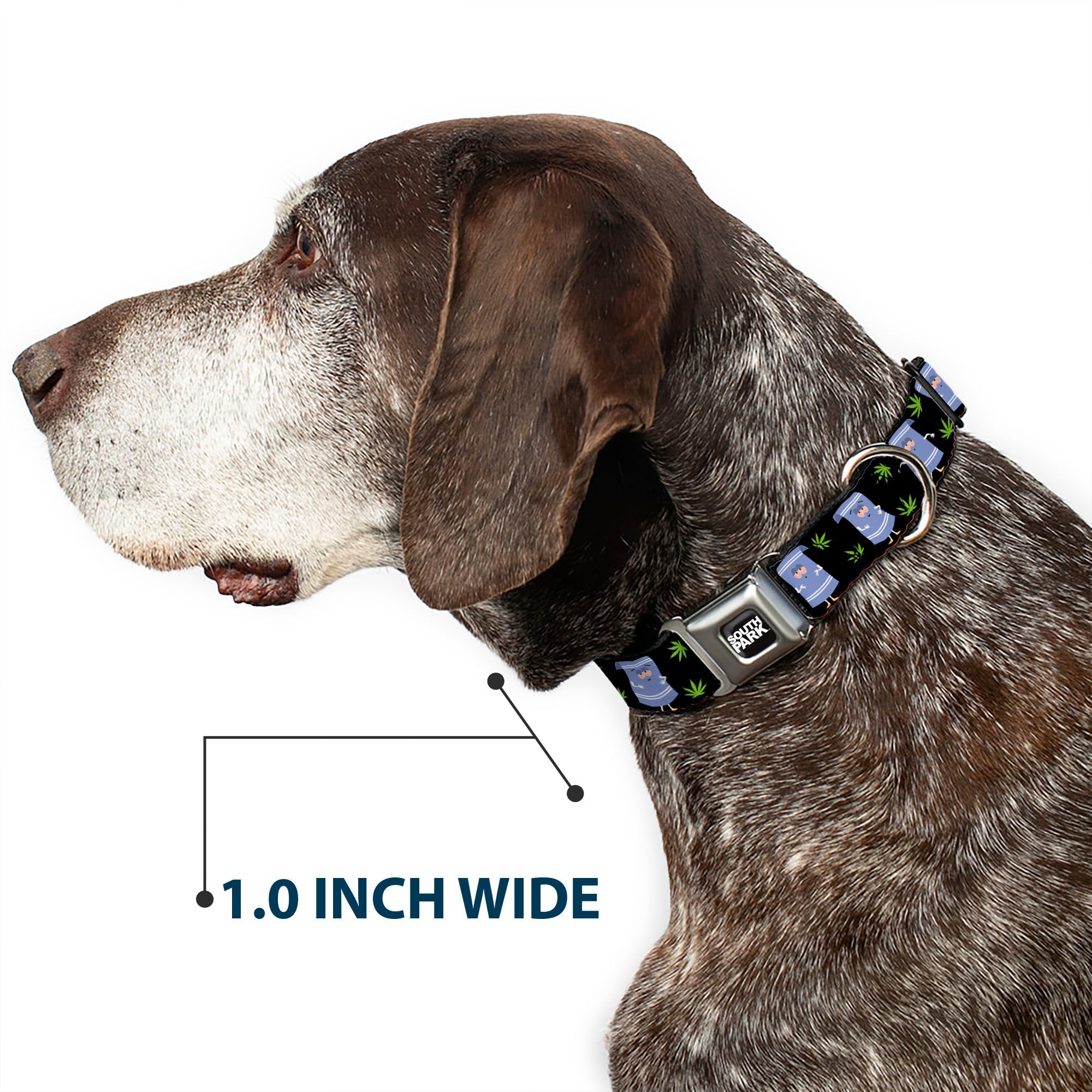 SOUTH PARK Title Logo Full Color Black/White Seatbelt Buckle Collar - South Park Towlie and Scattered Pot Leaves Black