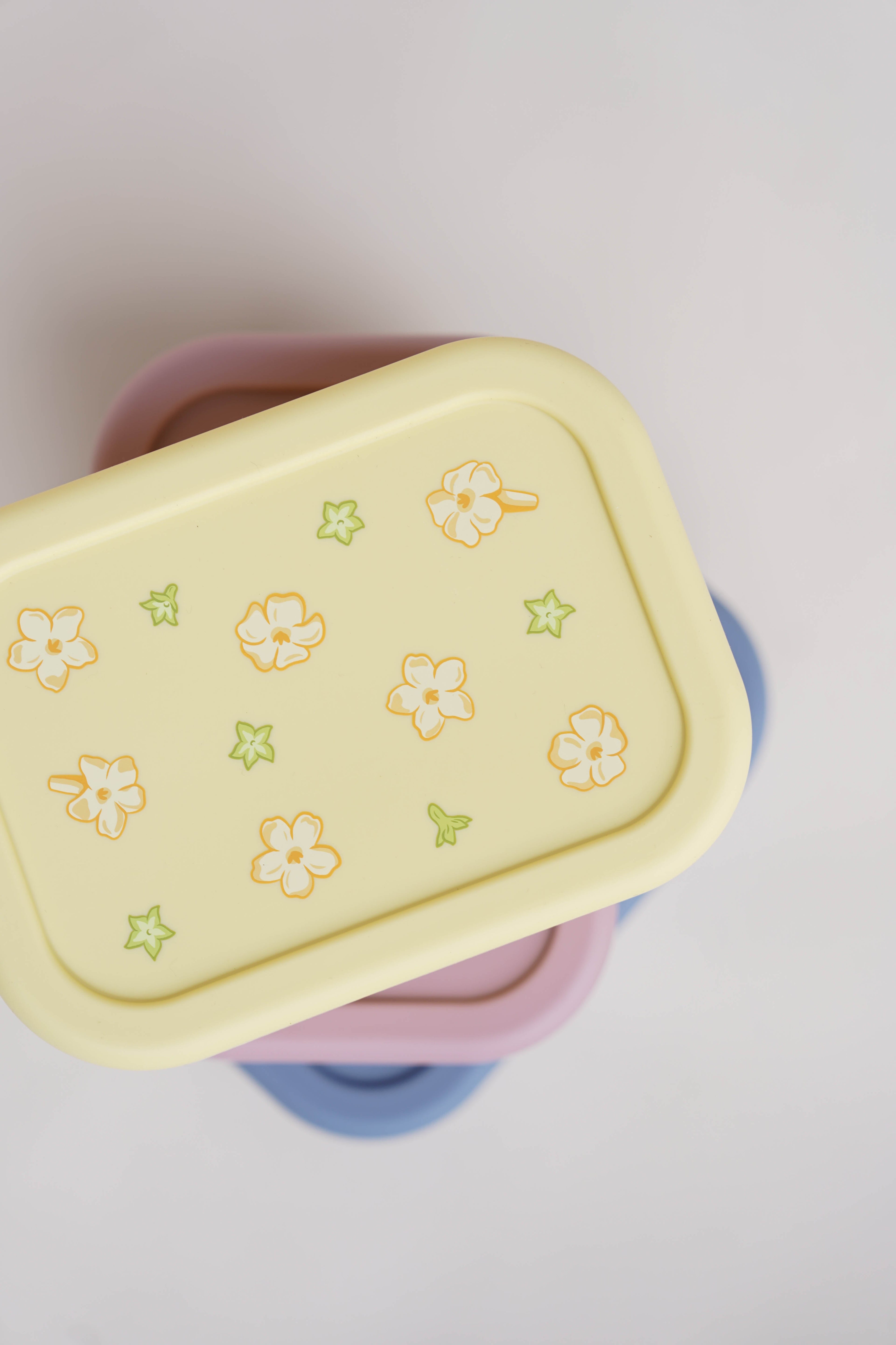 Bento Box