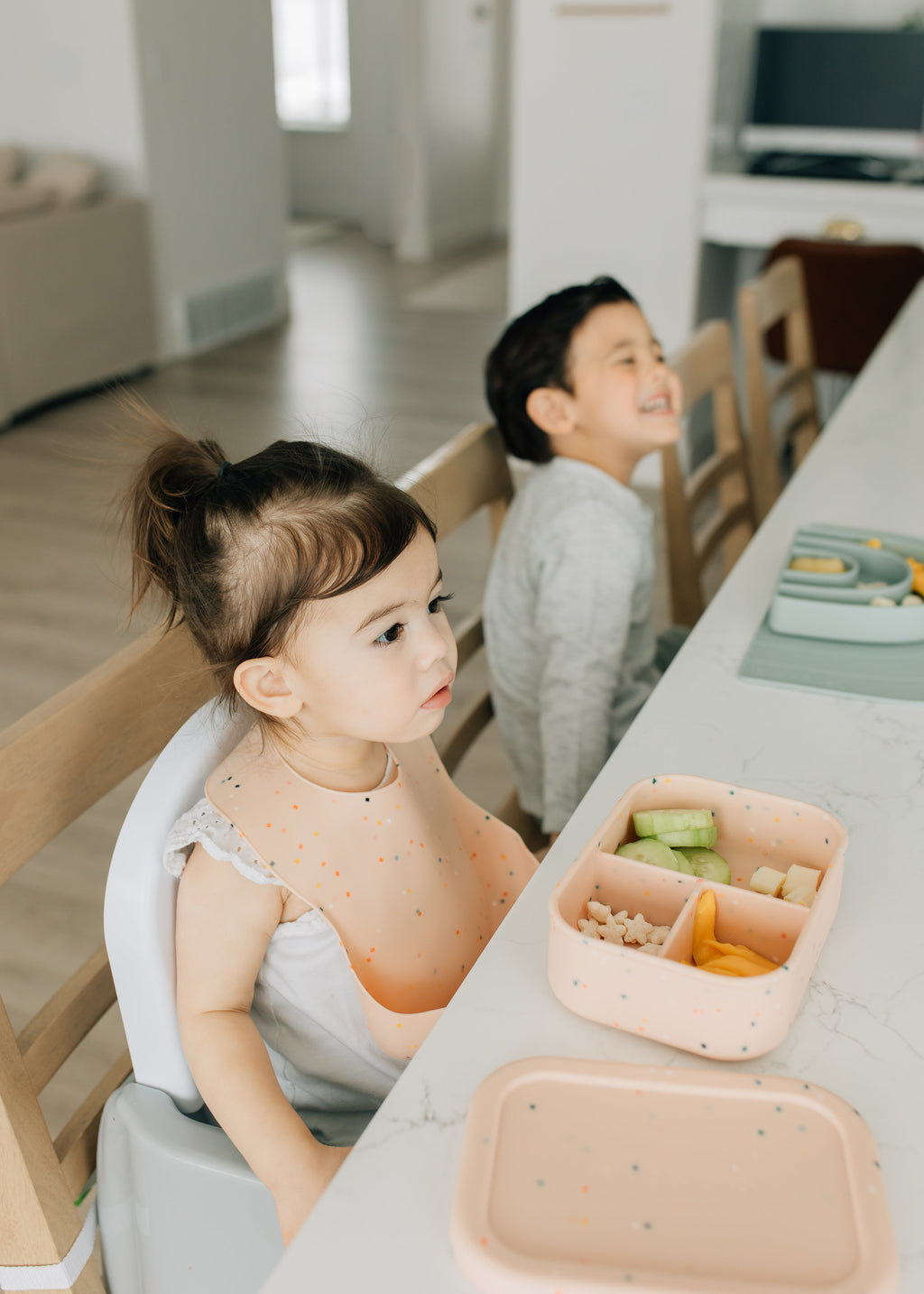 Bento Box