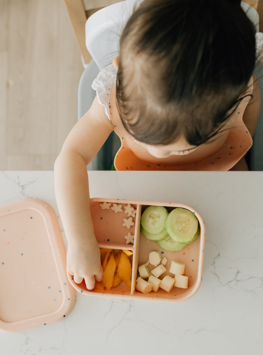 Bento Box