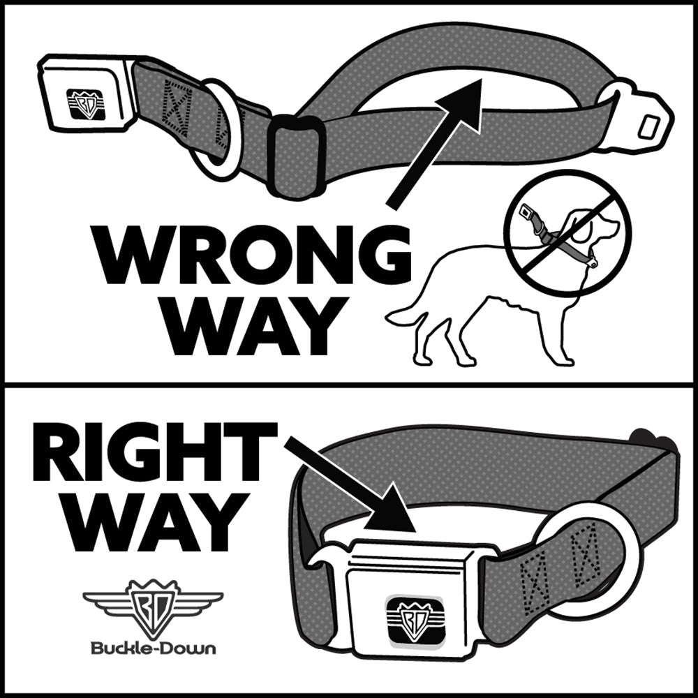 SOUTH PARK Title Logo Full Color Black/White Seatbelt Buckle Collar - South Park Cartman Pants KISS MY ASS Pose Black/White