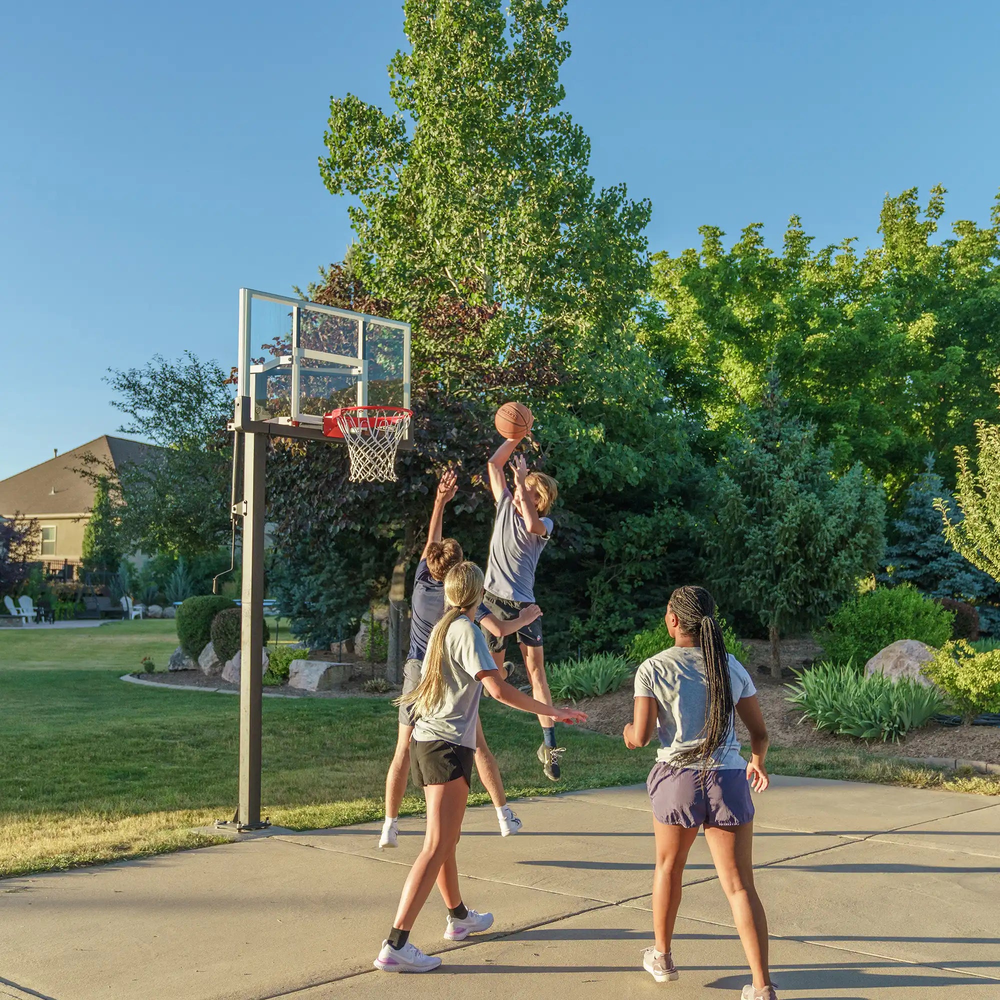 Lifetime Crank Adjust Bolt Down Basketball Hoop (54-Inch Tempered Glass)