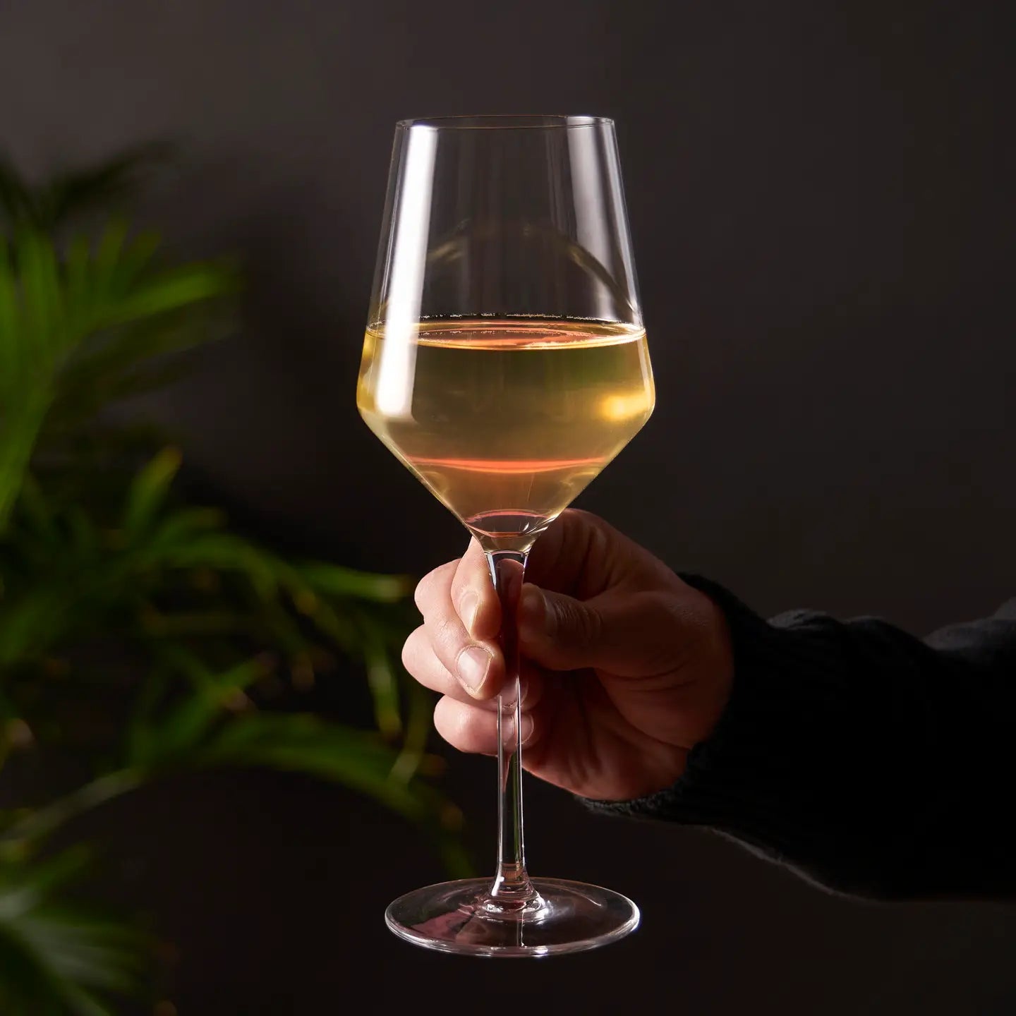 Raye™ Angled Crystal Chardonnay Glasses- Set of 2
