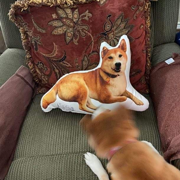 Akita Custom Shaped Pillow ()