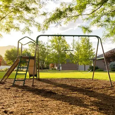 Lifetime Climb & Slide Playset