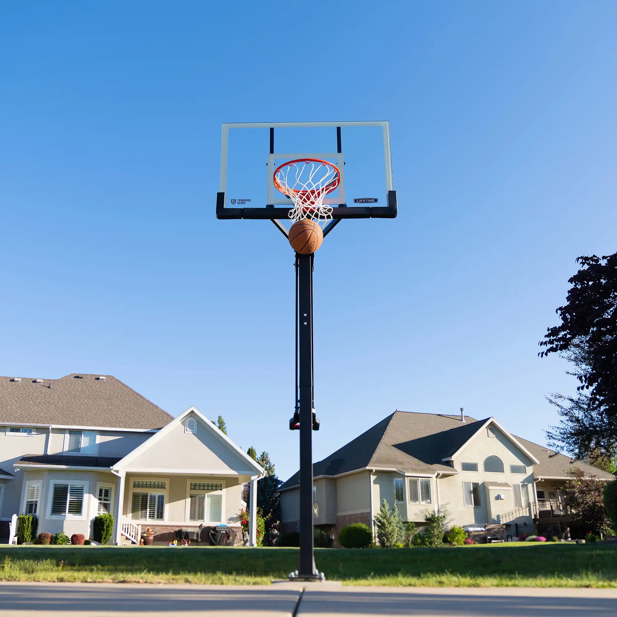 Lifetime Mammoth Lift Bolt Down Basketball Hoop (54-Inch Tempered Glass)