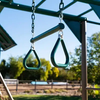 Lifetime Big Stuff Deluxe Swing Set
