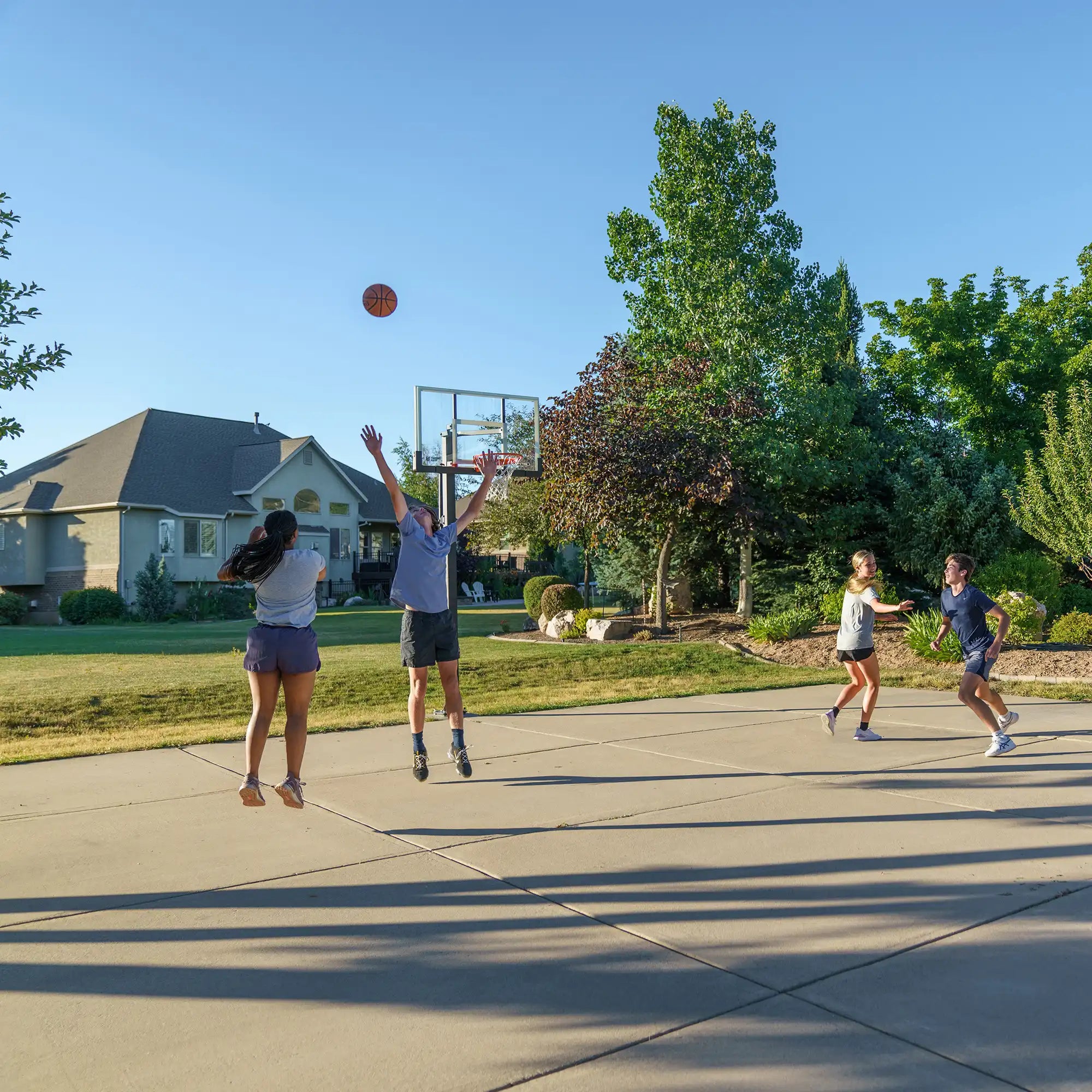 Lifetime Crank Adjust Bolt Down Basketball Hoop (54-Inch Tempered Glass)