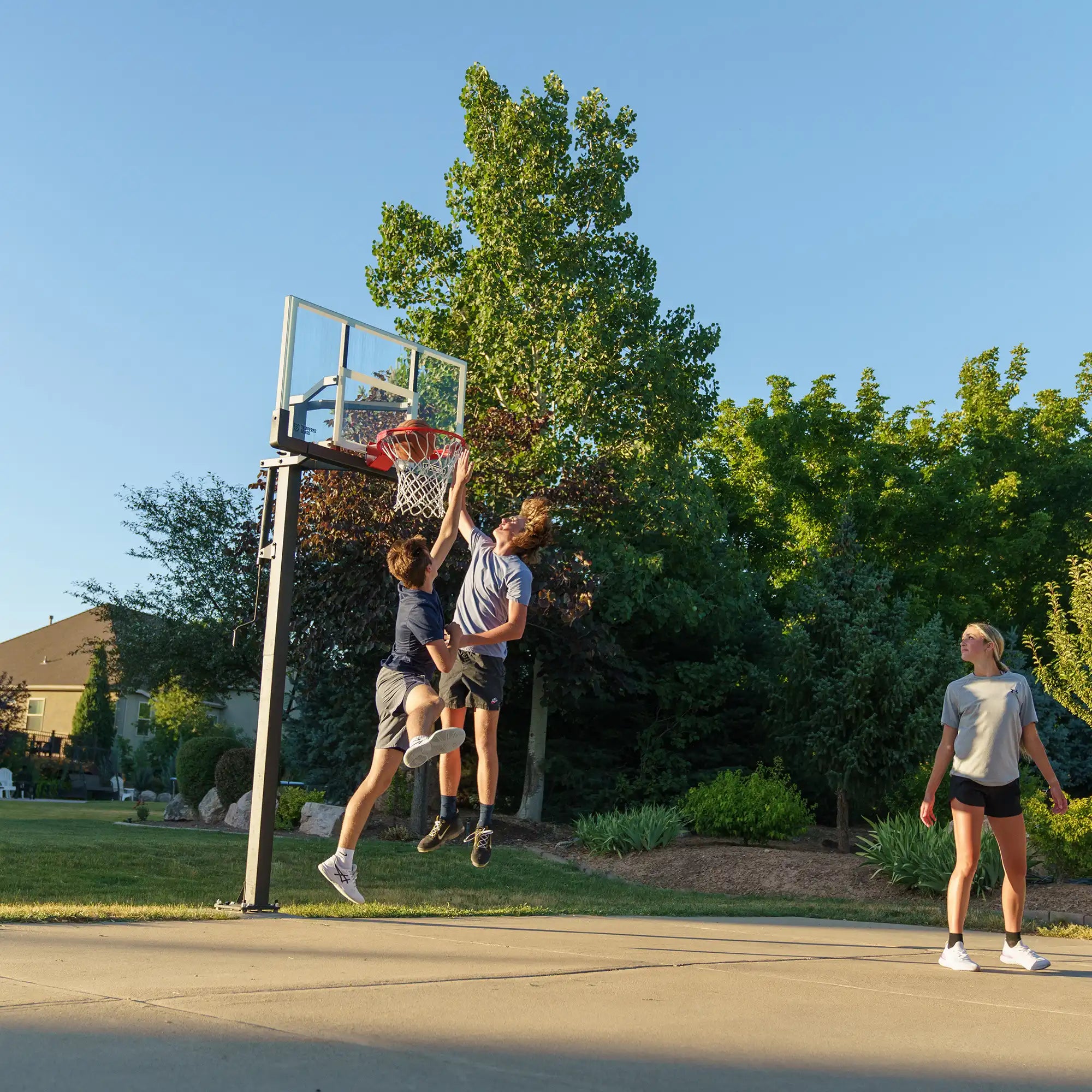 Lifetime Crank Adjust Bolt Down Basketball Hoop (54-Inch Tempered Glass)