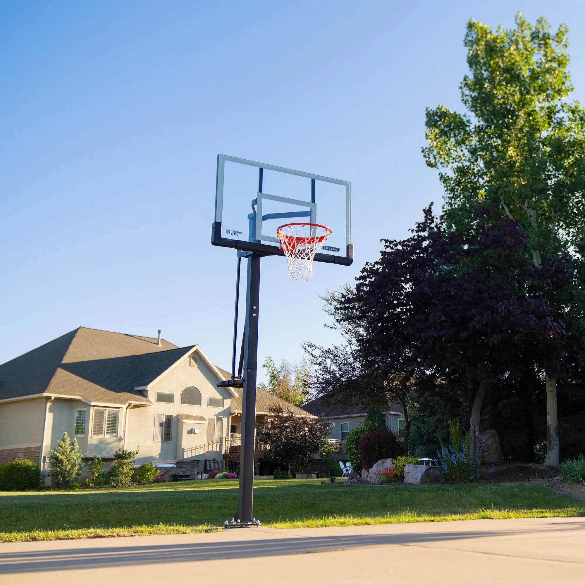 Lifetime Mammoth Lift Bolt Down Basketball Hoop (54-Inch Tempered Glass)