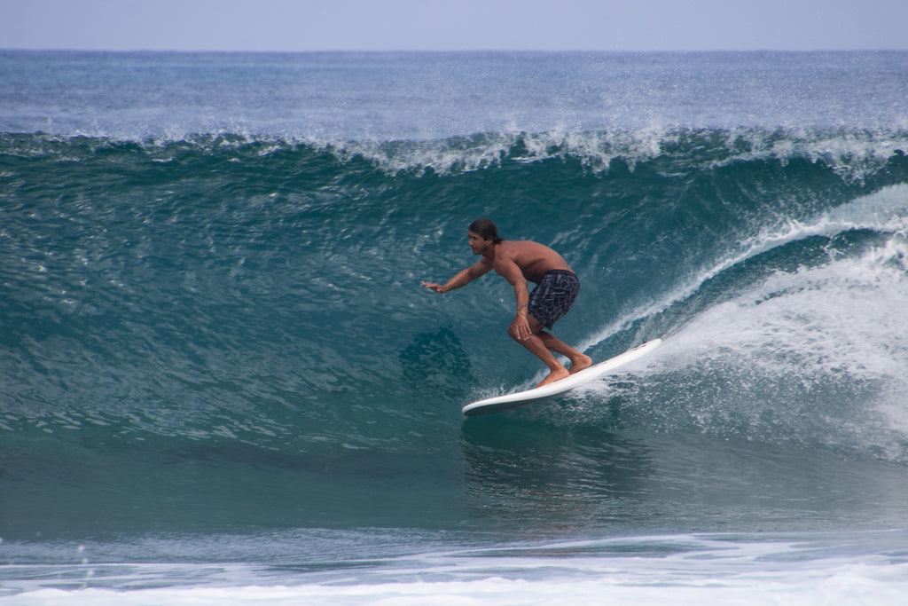 8' BIG SOFTY longboard (3-fin)