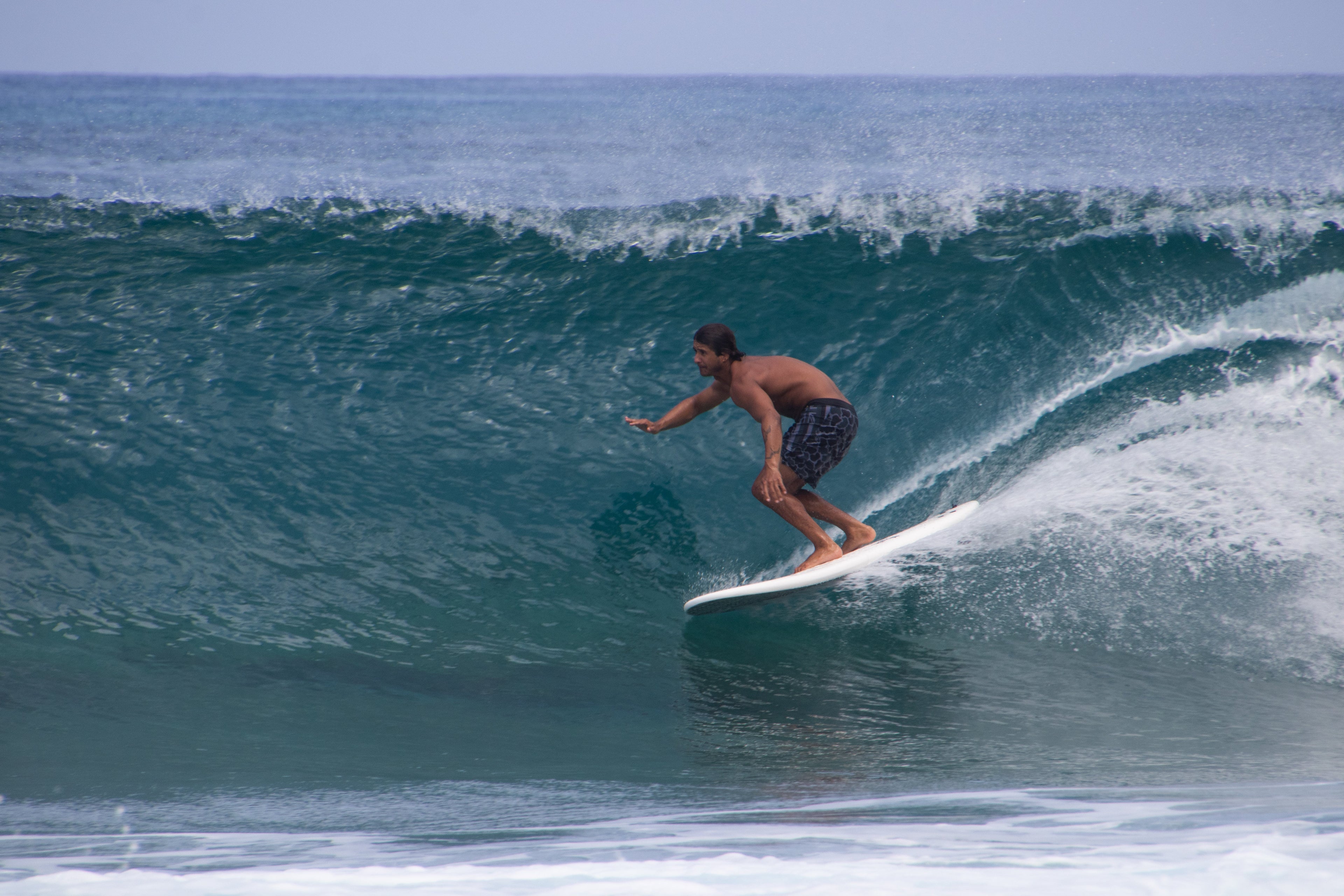 8' BIG SOFTY longboard (3-fin)