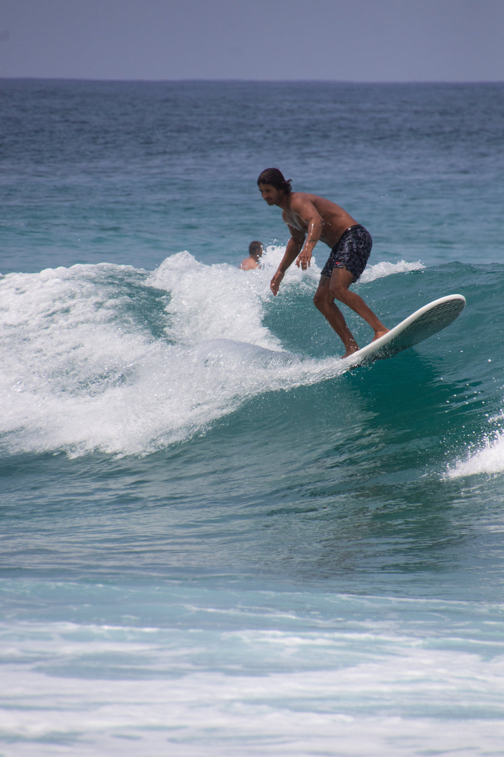 8' BIG SOFTY longboard (3-fin)