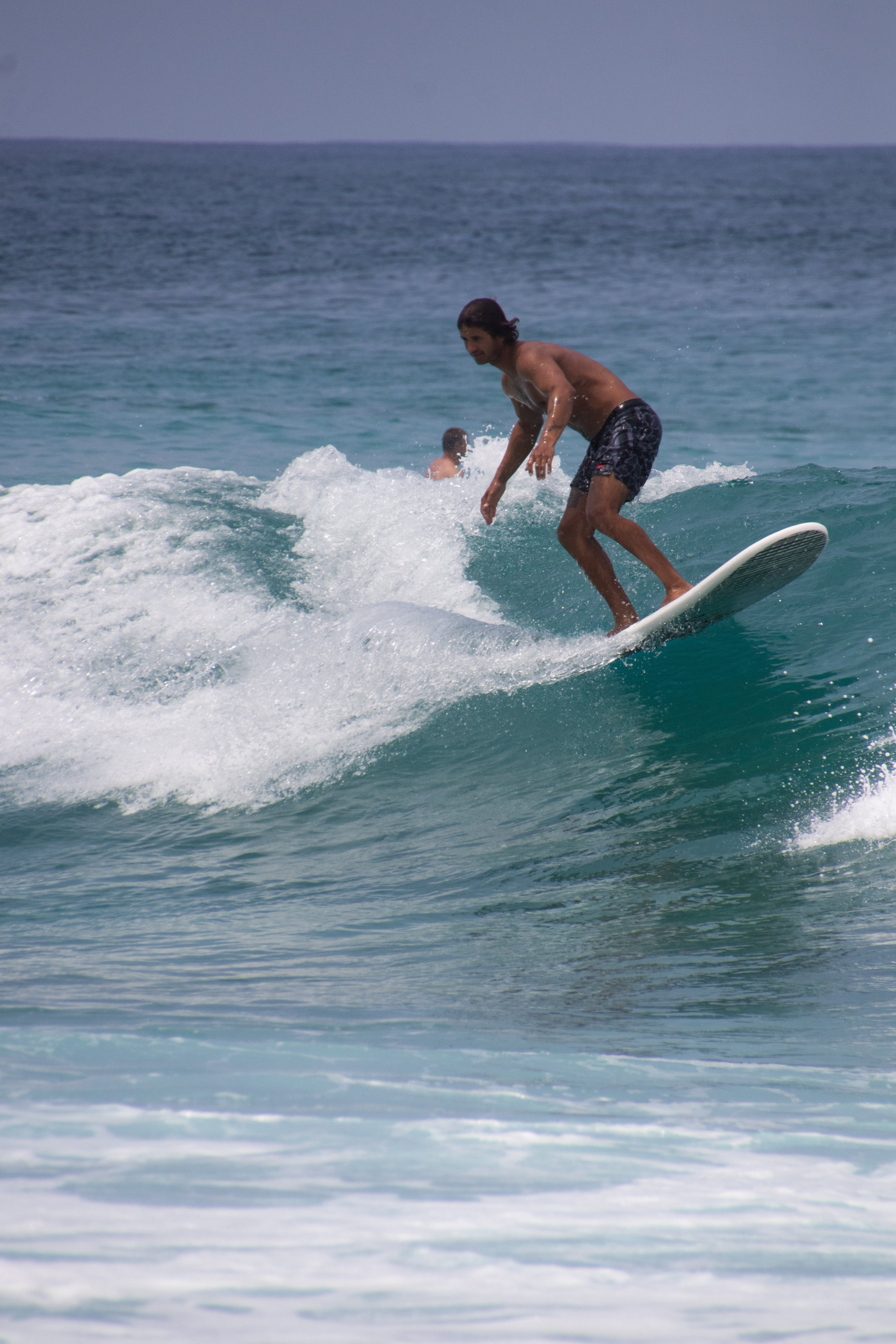 8' BIG SOFTY longboard (3-fin)