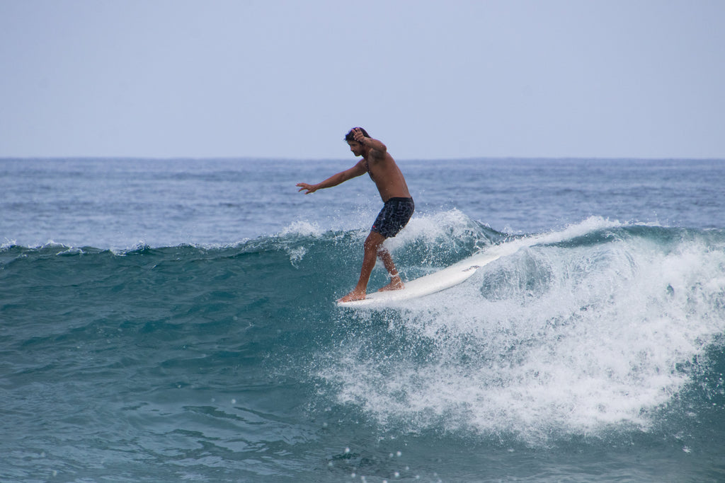 8' BIG SOFTY longboard (3-fin)