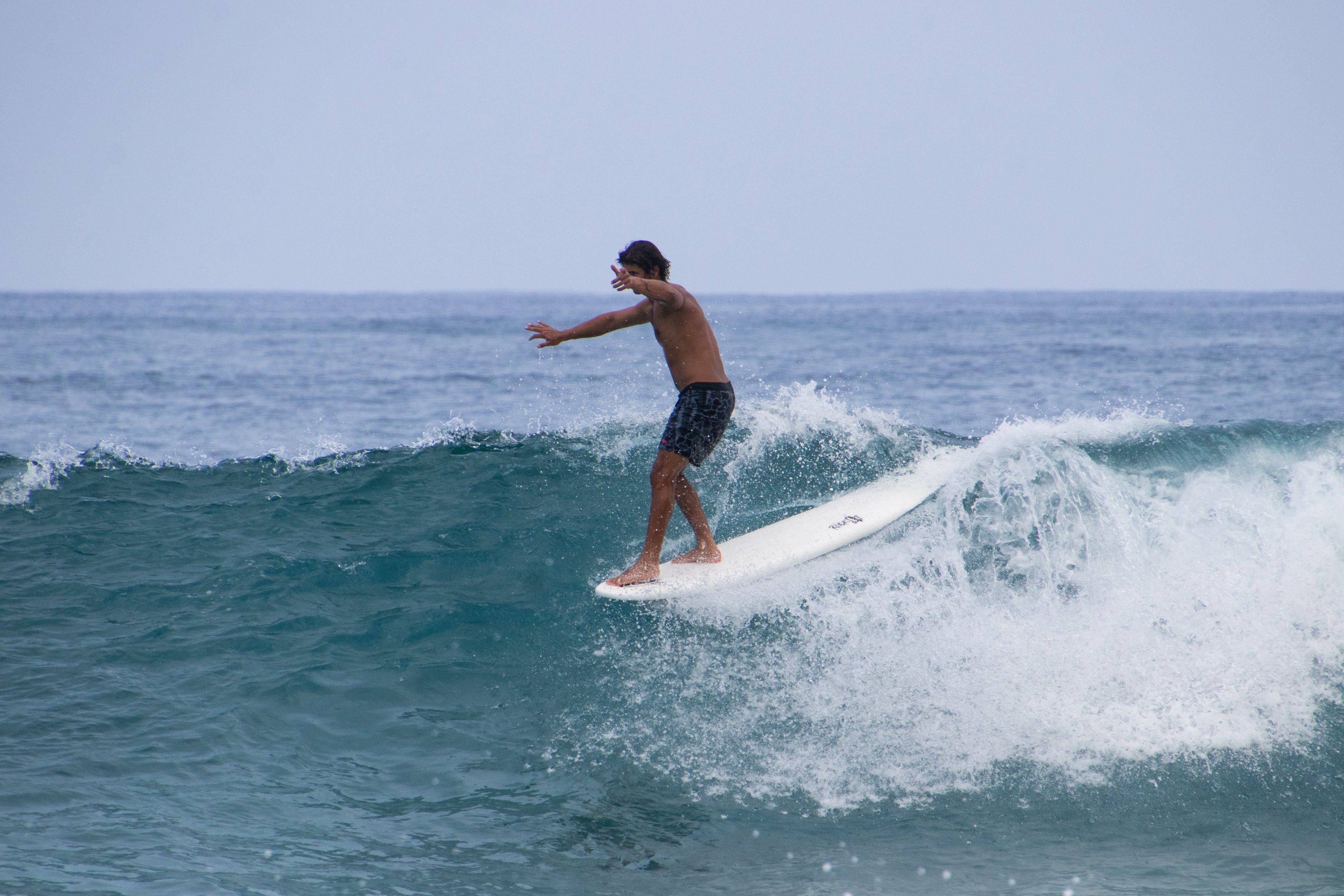 8' BIG SOFTY longboard (3-fin)