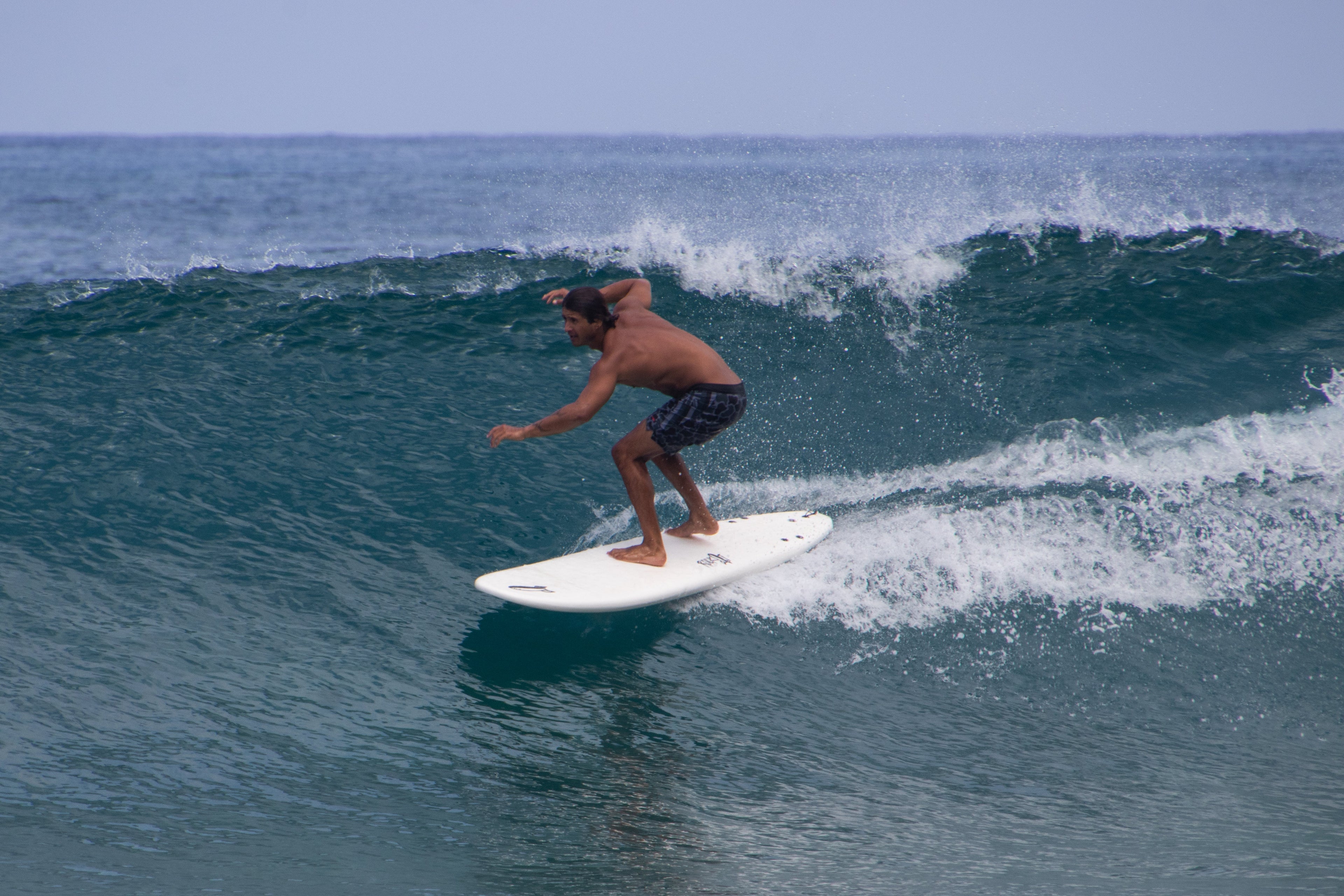 8' BIG SOFTY longboard (3-fin)