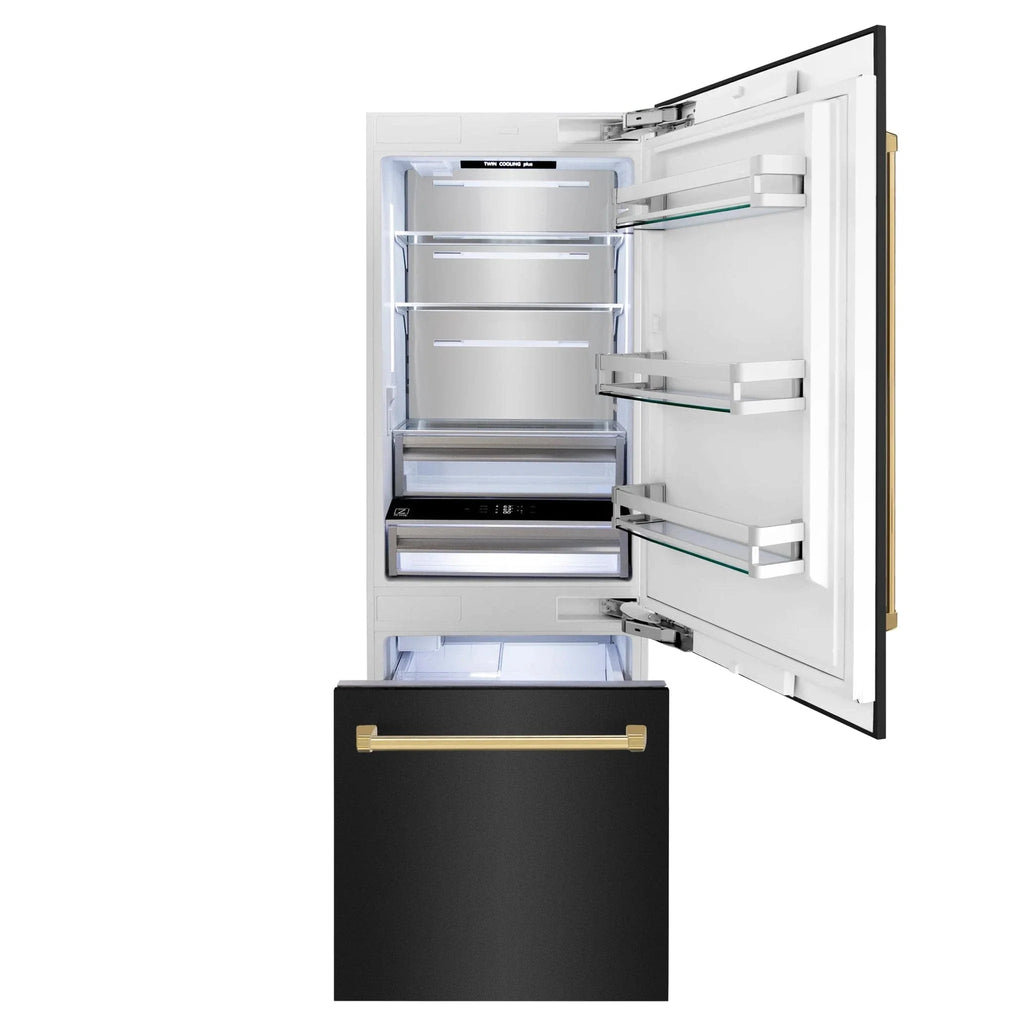 ZLINE 30" Autograph 16.1 cu. ft. 2-Door Bottom Freezer Fridge Water/Ice Dispenser Black Stainless Steel Gold Accents RBIVZ-BS-30-G