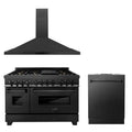 ZLINE 48" Bundled Stainless DualRange RangeHood Dishwasher 3KP-RABRH48-DW