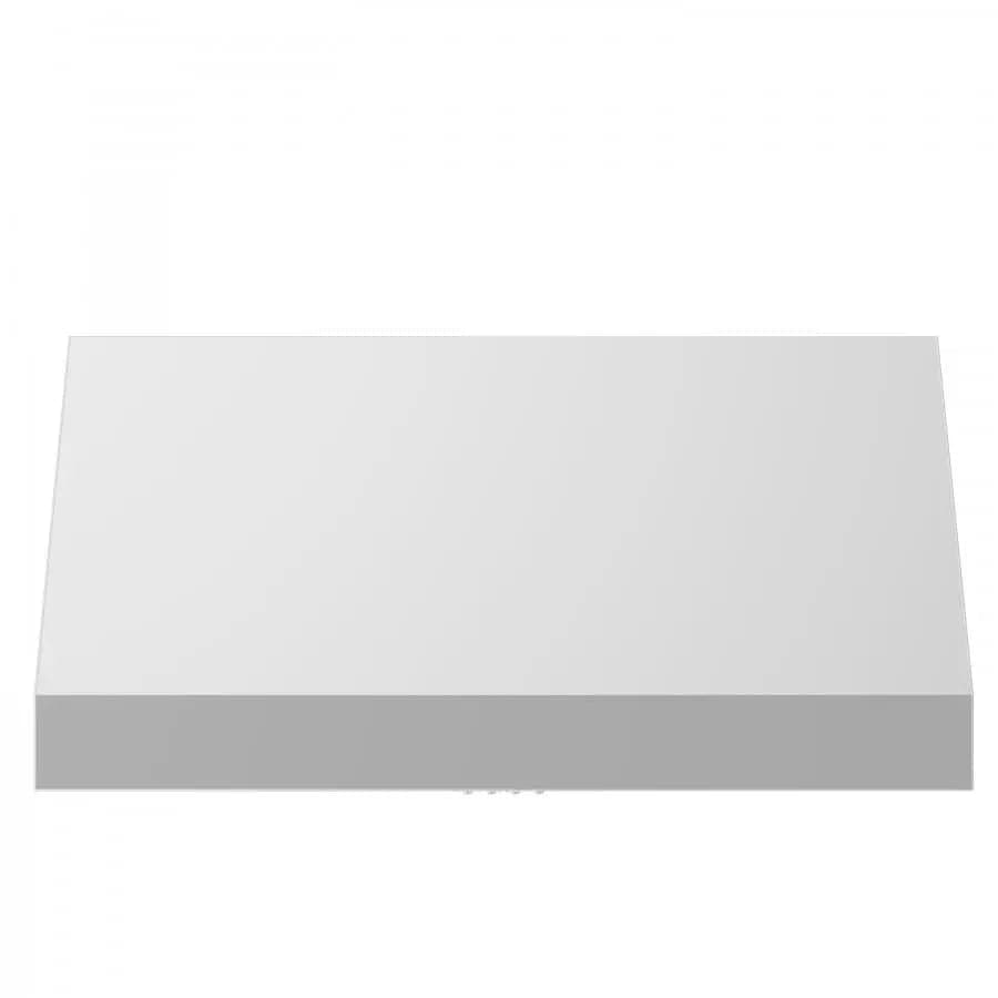 ZLINE 48" UNDER CABINET RANGE HOOD (523-48)